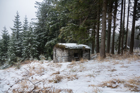 Winter scenery with an abandoned concrete bunker in forest. Velka Destna, Czech republicの写真素材