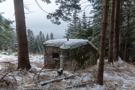 Winter scenery with an abandoned concrete bunker in forest. Velka Destna, Czech republicの写真素材