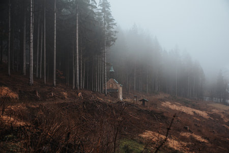Foggy forest with an old chapel. Destne v Orlickych horach, Czech republic.の写真素材