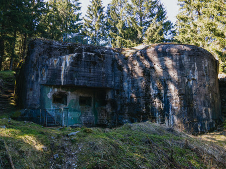 Former concrete bunker in the deep forest. Eagle Mountains, Czechia.のeditorial素材
