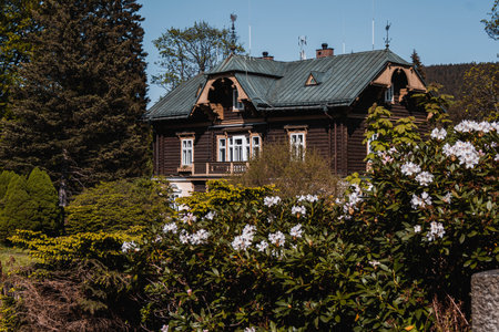 Karlova Studanka, Czech republic - 27.5.2023: A wooden spa building behind the bush with blooming flowersのeditorial素材
