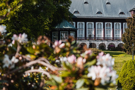 Karlova Studanka, Czech republic - 27.5.2023: Spa building behind the bus with blooming flowersのeditorial素材
