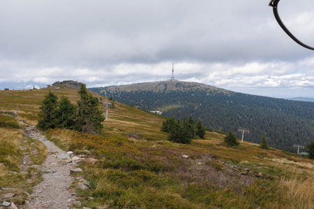 Stone path with bush in Czech mountains. Jeseniky Mountains.の写真素材