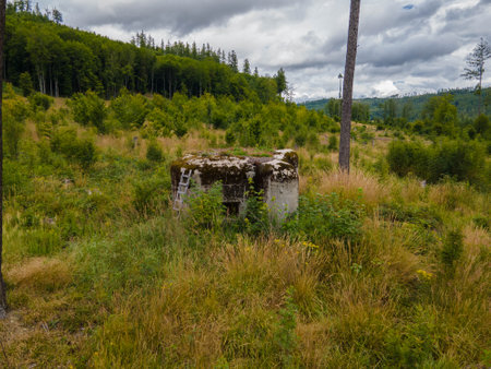 Bunker in plain with trees and peaks. Cloudy day. Czechia.の写真素材