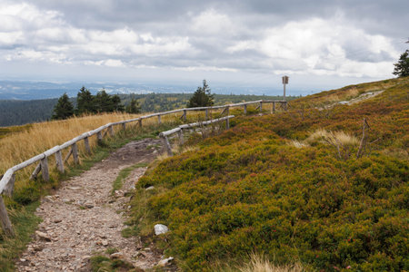 Cloudy day in Jeseniky. Path and plains. Czechiaの写真素材
