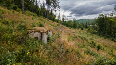 Plain with forest and concrete bunker in mountain. Jeseniky, Czechiaの写真素材
