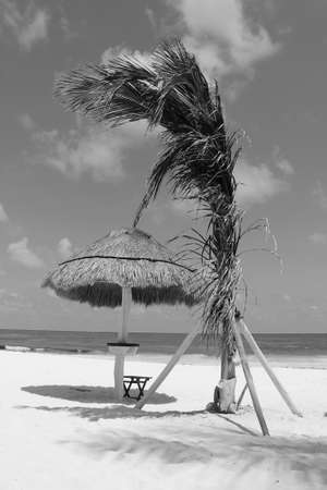 landscapeの写真素材