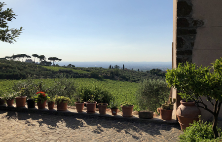 Row of plants in pots framing the beautiful Italian countryside view from a Frascati winery outside of Rome.の写真素材