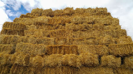 Haystack against the sky. Folded straw bales of hay. Square haystack in the open air. Animal feed. Agricultural background. The concept of the village.の写真素材