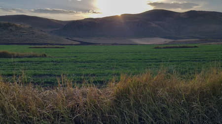 Sunset over the mountains. Soothing background. The brilliant yellow rays of the setting sun spread across the green field as the end of a beautiful blue day turns into a Golden summer evening.の写真素材
