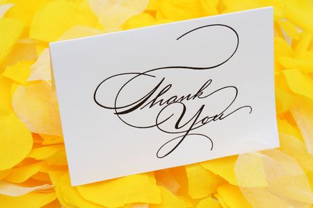 Thank you card on yellow flower petals