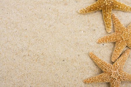 Three starfish on sand with copy spaceの写真素材