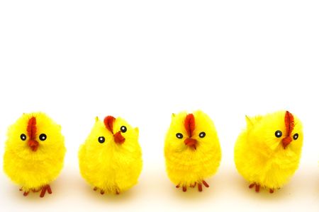  chickens isolated on a white backgroundの写真素材