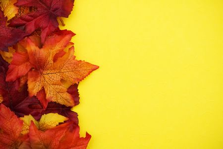 Orange and yellow fall leaves on yellow background