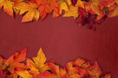 Yellow and red fall leaves on wood backgroundの写真素材