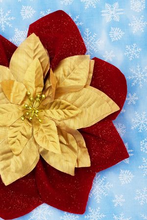 Red and gold poinsettia on snowflake background, merry Christmasの写真素材