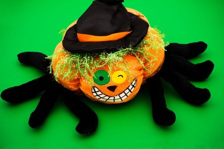 Orange and black spider on green background, Halloween spiderの写真素材