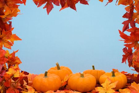 Fall leaves with pumpkin on blue background, fall harvest frame