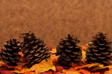 Fall leaves with pinecones on brown background, fall harvest
