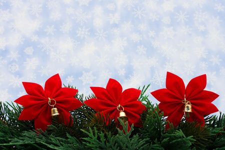 Christmas tree limb with red poinsettia flowers on snowflake background, Christmas borderの写真素材