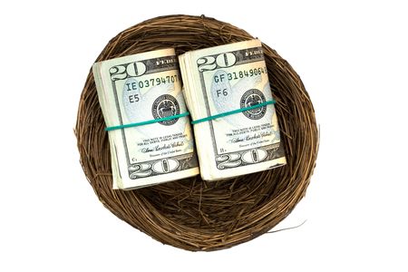 Rolls of twenty dollar bills sitting in nest on white background, nest eggの写真素材