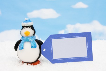 Penguin sitting on snow with blank gift tag on a sky background, Penguinの写真素材