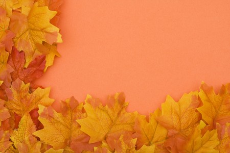 Yellow fall leaves on orange backgroundの写真素材