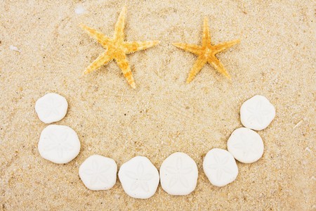 Starfish and sand dollars making a happy face on sand, shell happy faceの写真素材
