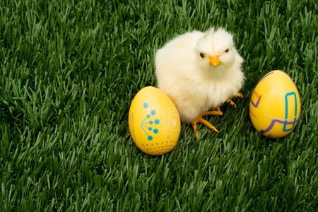 Colourful Easter eggs sitting with a chicken on green grass background, Easter Eggs