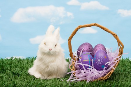 Colourful Easter eggs sitting with a bunny on green grass background, Easter Eggs