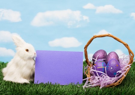 Colourful Easter eggs sitting with a bunny on green grass background, Easter Eggsの写真素材