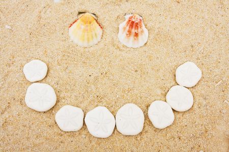 Shells and sand dollars making a happy face on sand, shell happy faceの写真素材