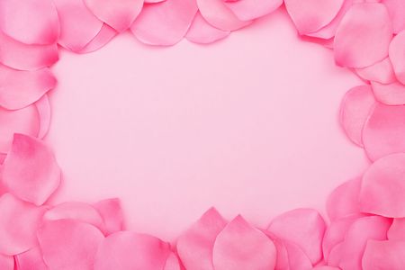 Pink flower petals making a border on a pink background, flower petal borderの写真素材