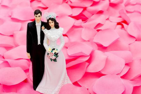 A bride and groom sitting on a pink flower petal background, the happy coupleの写真素材