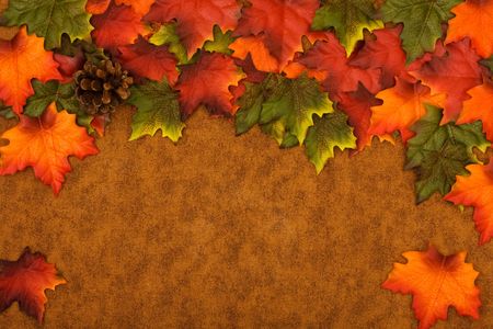 Fall coloured leaves making a border on a brown background, Fall Leavesの写真素材
