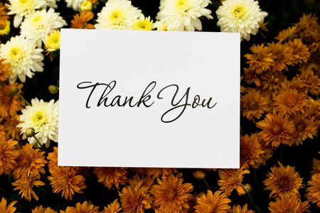 A close up of fall coloured mum flowers with a thank you card, thank you noteの写真素材