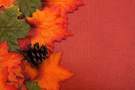 Fall coloured leaves making a border on a wooden background, Fall Leavesの写真素材
