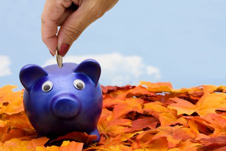 A blue piggy bank  sitting on fall leaves with a sky blue background, savings 