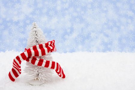 White evergreen trees sitting with a scarf with a blue snowflake background, winter time