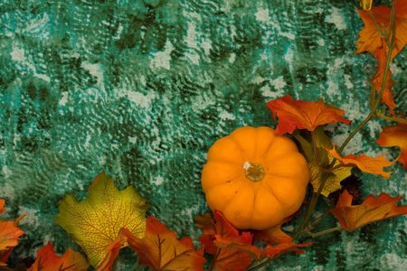 Fall coloured leaves with a gourd on a water background, Fall rainの写真素材