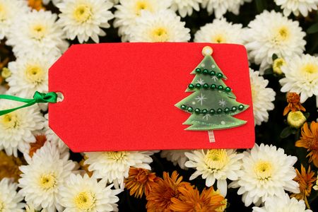 A close up of fall coloured mum flowers with a blank gift tag, blank gift tagの写真素材