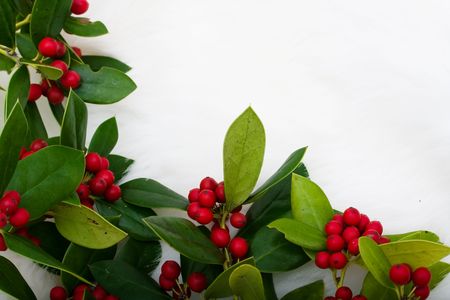 Holly and berries making a border on a white fur background, Christmas holly borderの写真素材