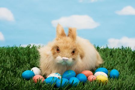 Colourful Easter eggs sitting with a bunny on green grass background, Easter Eggs