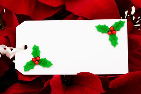 A blank gift tag on a red flower background