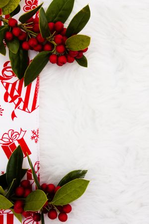 A red ribbon on a white fur background with holly berryの写真素材