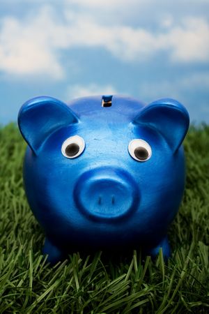A blue piggy bank  sitting on grass with a sky blue background, savings の写真素材