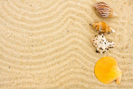 seashells on sand with many lines drawn in it, beach backgroundの写真素材