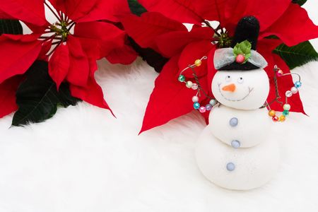 A snowman with poinsettia flowers on a white backgroundの写真素材