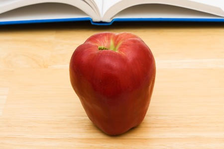 A book with an apple sitting on a table, school workの写真素材