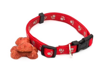 A red dog collar isolated on a white background, dog collarの写真素材